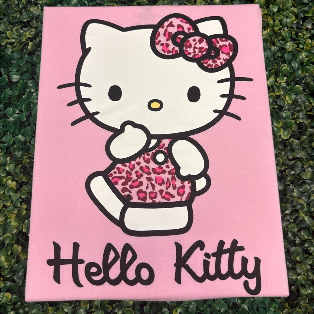 💖 Hello Kitty Pink Canvas Wall Art